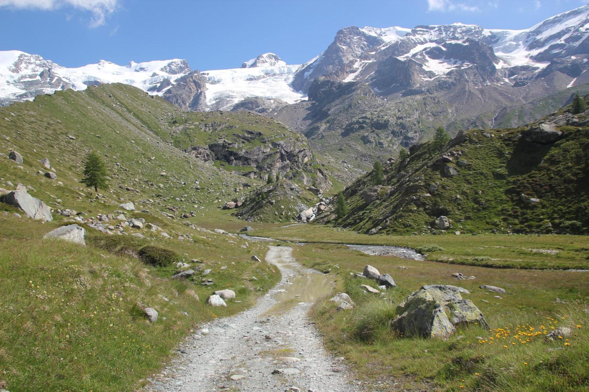Hotel Petit Tournalin Champoluc Buitenkant foto